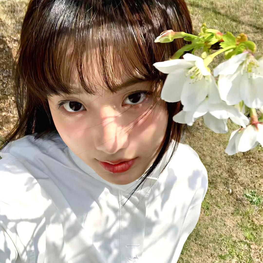 齐木楠雄的灾难 日播版